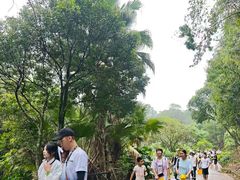 -增城大丰门漂流
