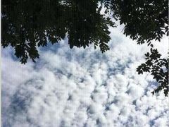 -威勒比开放式动物园