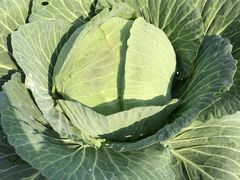 -生态苑农庄(十里画廊遇龙河店)