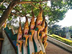 -西双版纳勐泐文化旅游区