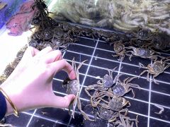 -聚盛源蒸汽海鲜火锅烤肉自助(巨川金海岸购物广场店)