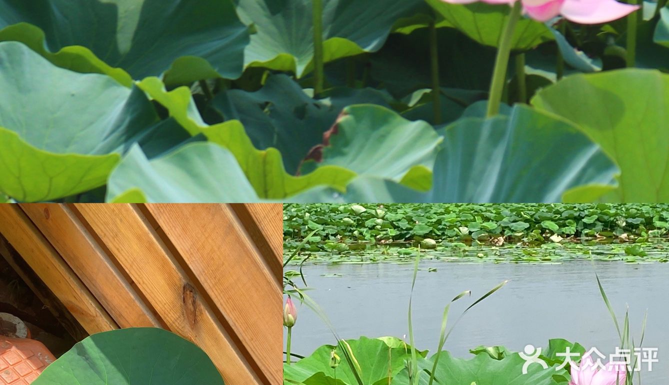  
沈阳周边游🌟旅行推荐🌟夏日避暑好去处