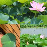  
沈阳周边游🌟旅行推荐🌟夏日避暑好去处