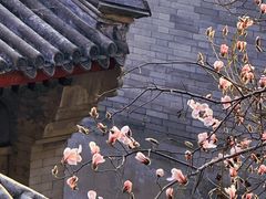 -颐和园