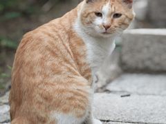 -北京凤凰岭