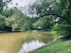 -上海共青森林公园