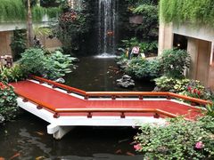 -白天鹅宾馆-宏图府餐厅