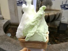 -柠檬车露(卖草地店)