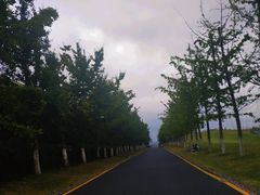 -南京眼步行桥