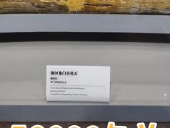 -泗洪县文化艺术中心