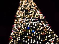 -百美汇影城(LUXE嘉里中心店)