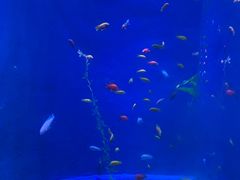 -欢乐海岸海洋奇梦馆