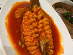 -院8里·小聚园老川菜(九眼桥店)