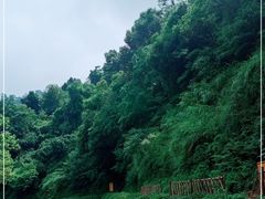 -火炉山森林公园