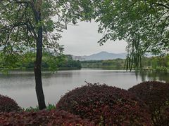 -飞来湖湿地公园