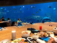 -海棠湾洲际-涛·海底餐厅·美人鱼·自助餐·海底隧道