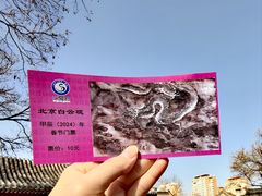 -白云观