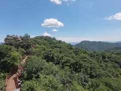 -大岭沟猕猴桃谷风景区