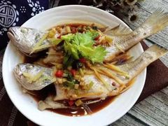 -渡海小渔村.老辈日照菜