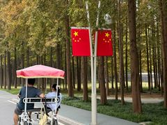 -日照海滨国家森林公园