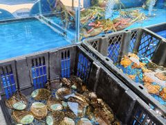 -熙楼(翠湖店)