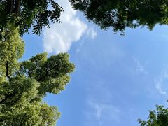 -西湖游船