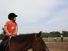 -月河湾马术俱乐部(朝阳店)