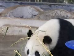 -海南热带野生动植物园