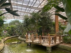 -南宫五洲植物乐园