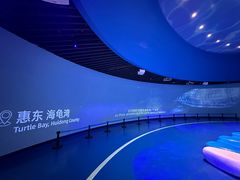 -广东惠东海龟国家级自然保护区