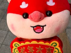 -鸿顺老铁锅美蛙鱼府(解放碑店)