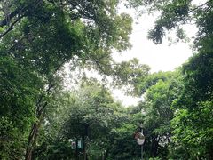 -广州市白云山风景名胜区