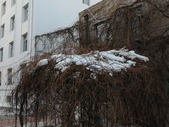 -哈尔滨商业大学(南校区)