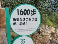 -大岭沟猕猴桃谷风景区