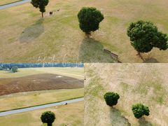 -山明水秀大饭店