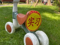 -上海山野camping·户外天幕烧烤·团建拓展营地