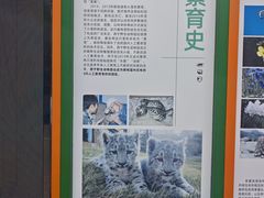 -青藏高原野生动物园