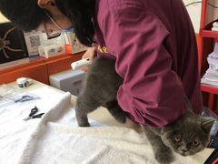 -惠康宠物医院(华能路店)