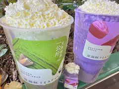 -星满杯TEAFUL(罗湖东门店)