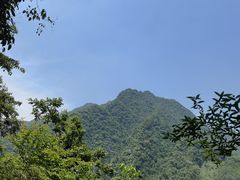 -龙窝子