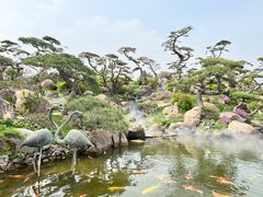 -罗红摄影艺术馆