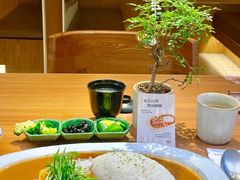 炭火谷饲牛肋条咖喱-CURRY YA 熟成咖哩專門店(深圳湾万象城店)