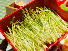 -番食园鲜食火锅(高新店)