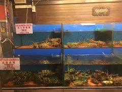 -真浪花园海鲜餐馆