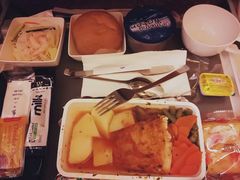 -新加坡航空公司(ION)