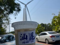 -汕尾风车岛