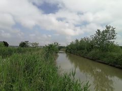 -盐城丹顶鹤湿地生态旅游区