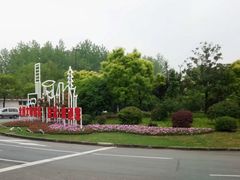 -嘉定紫藤园