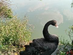 -南通濠河风景名胜区