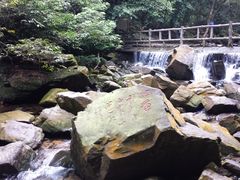 -鼎湖山风景区
